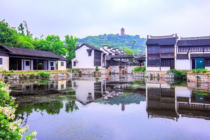 强大的狮子拼图